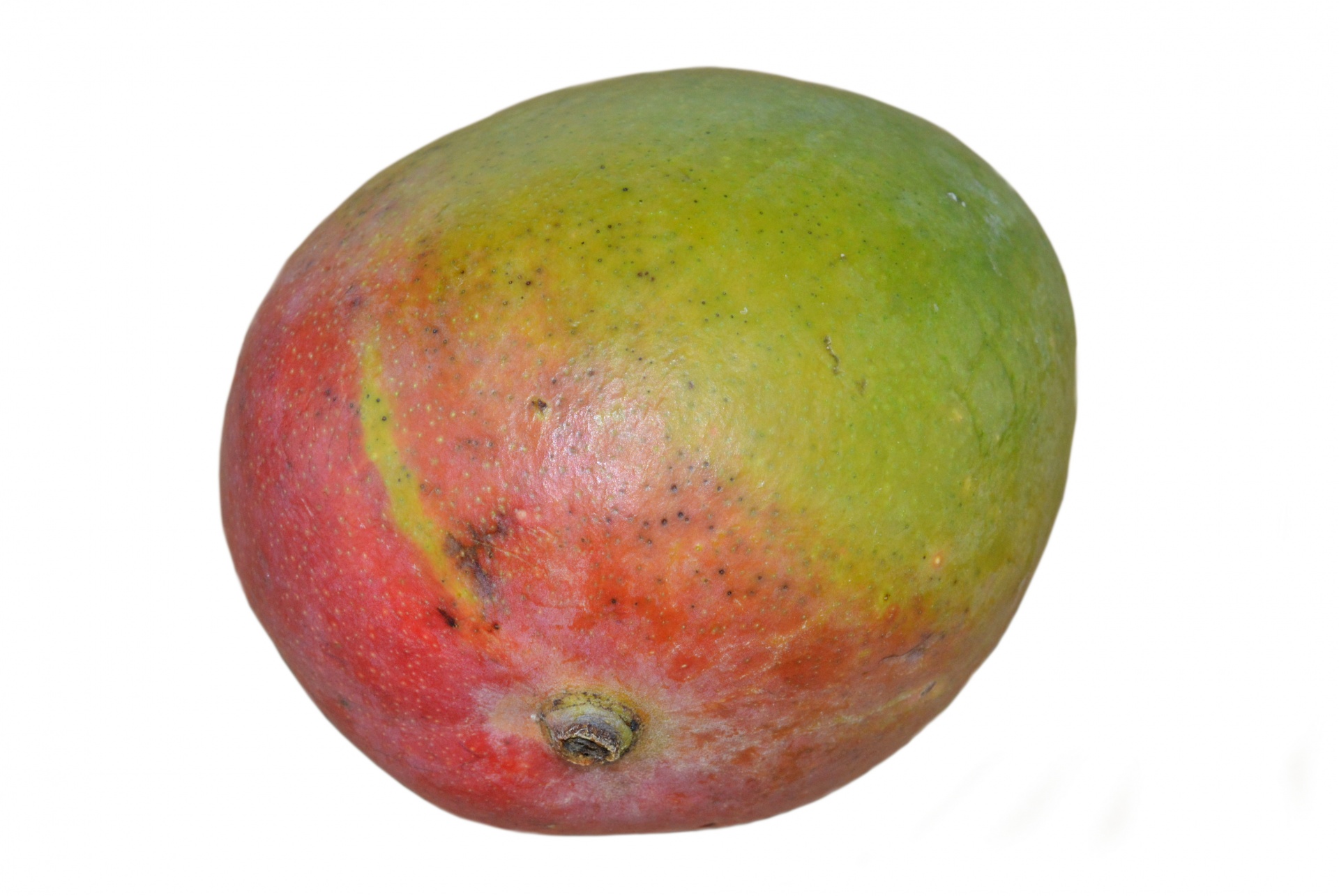 Isolated mango on white background