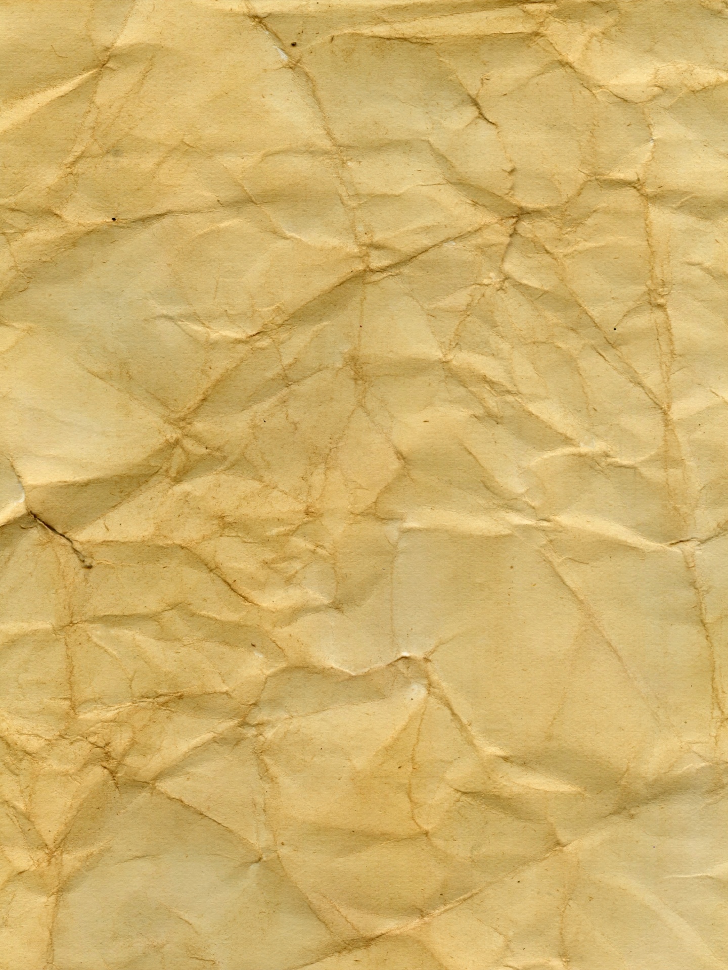 Natural Torn Paper Parchment