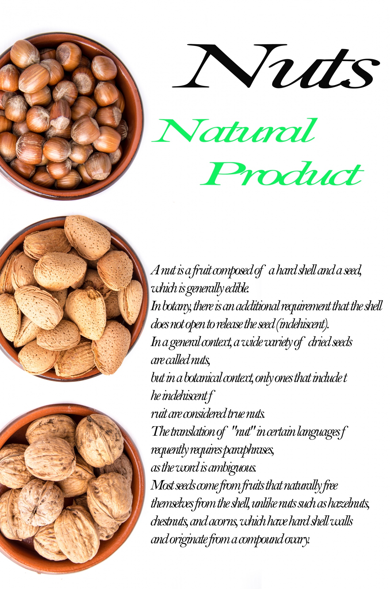 Nuts isolated on the white background, poster