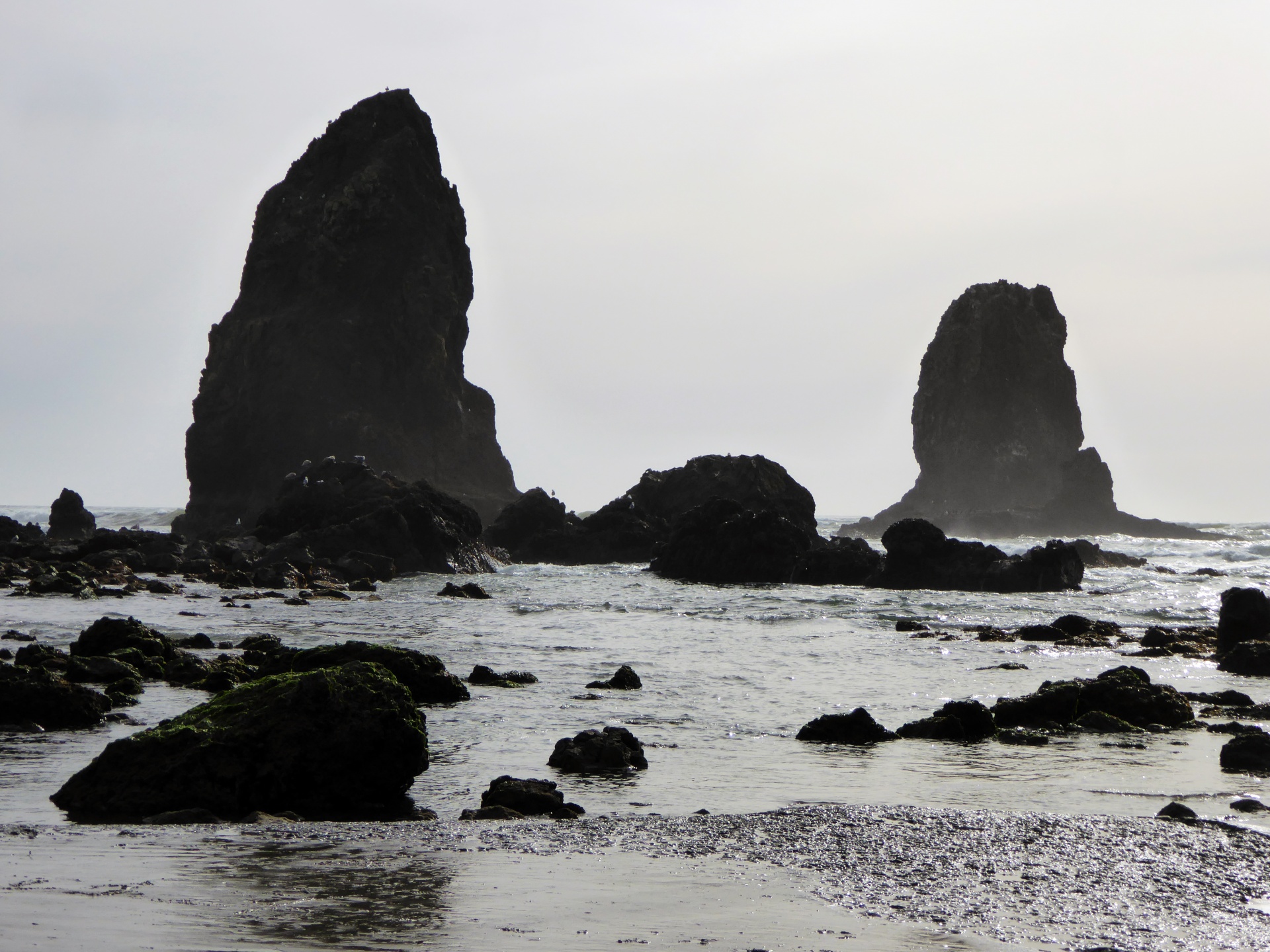 Rocks Of Oregon Coast