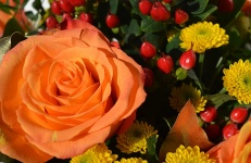 Bouquet In Orange Tones
