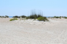 Beach Sand Dunes