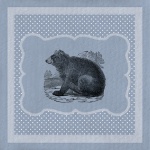 Bear Illustration Frame