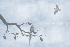Bird On Branch Illustration