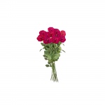 Bouquet Isolated