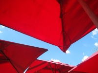 Canopies Of Red Umbrellas