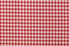 Checkered Table Cloth 1