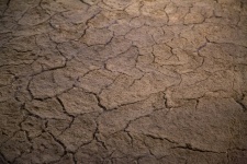 Cracked Dried Mud