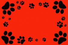 Dog Footprint Frame