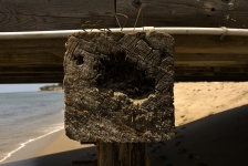 Face In The Piling