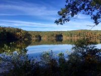 Fall Lake View 2