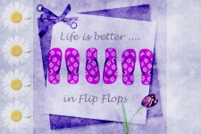 Flip Flops Daisy Flowers