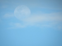 Full Moon In Daylight