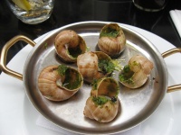 Gourmet Dish Of Escargots