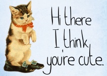 Greeting Card You Are Cute Kitten