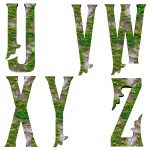 Ivy Fonts U-Z