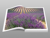Lavender Field Photo Book