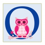 Letter O, Owl Illustration