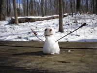 Mini Snowman Character