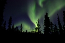 Northern Lights In The Wilderness