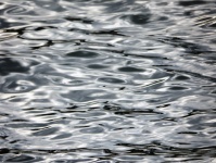 Ocean Water Ripples Texture