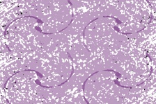 Pattern With Half Swirl