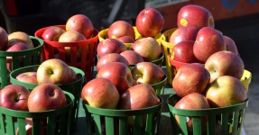 Red Apples For Sale