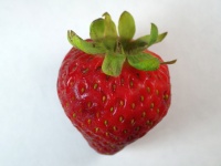 Red Strawberry 2