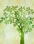 Tree In Leaf Illustration