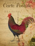 Vintage Postcard Colorful Rooster