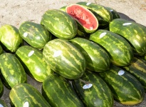 Water Melons For Sale