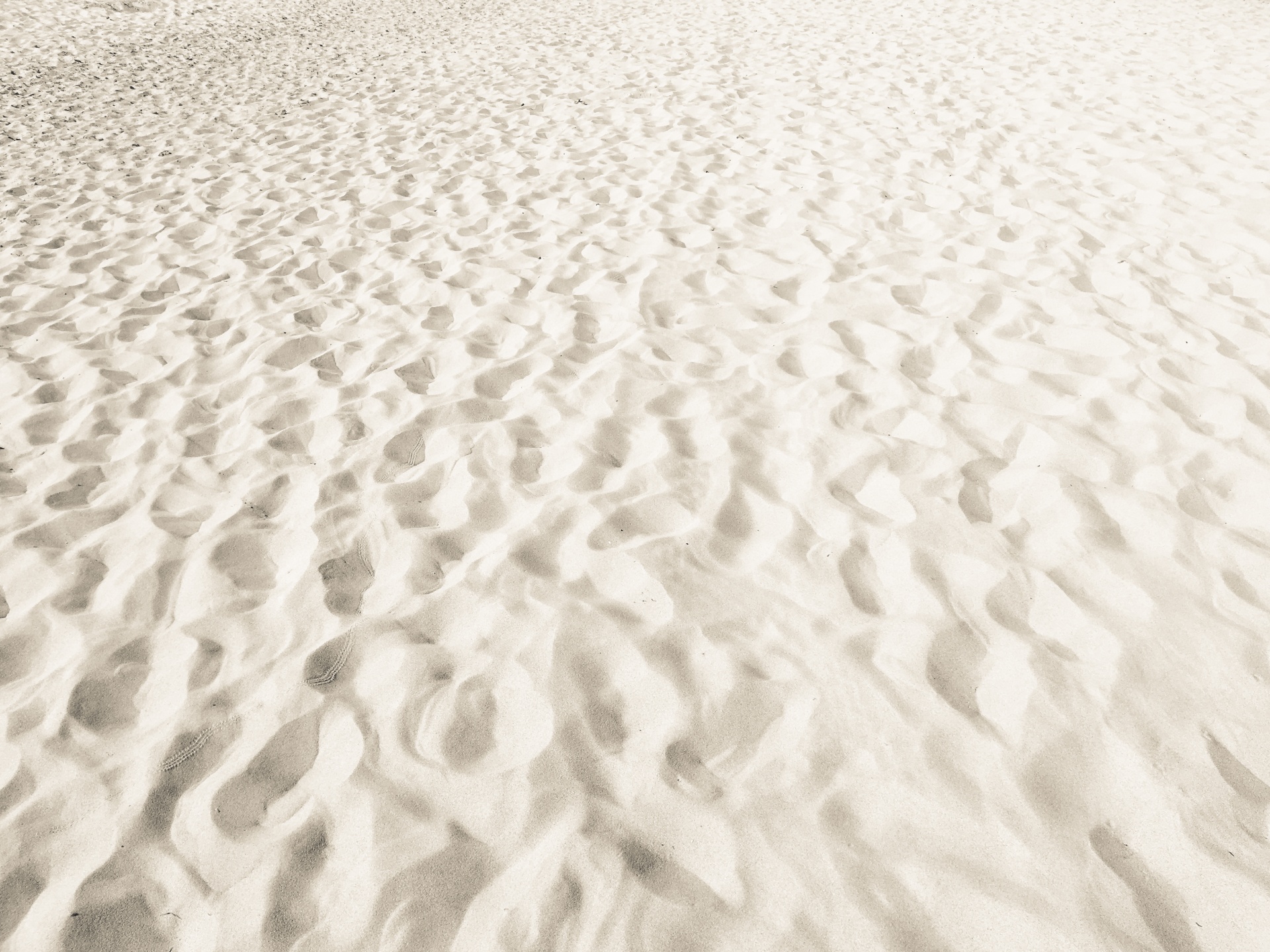 Beach Sand Background