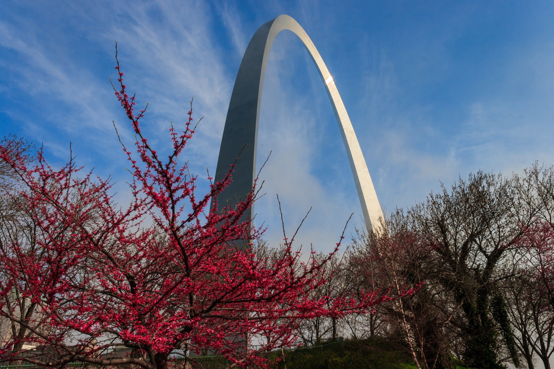 View of the Saint Louis Gateway Arch