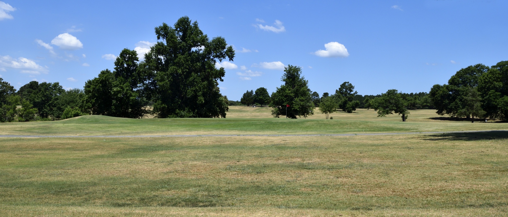 Golf course background landscape
