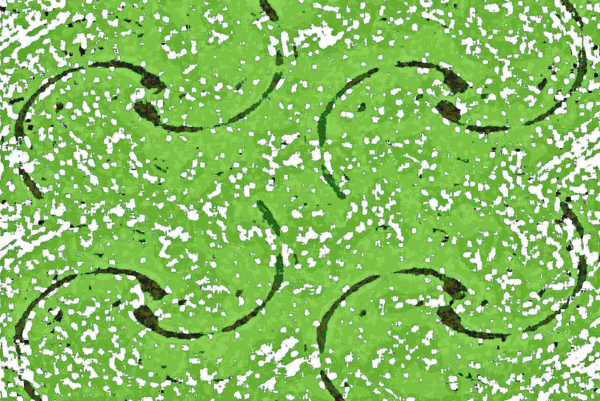 Green Pattern With Half Swirl