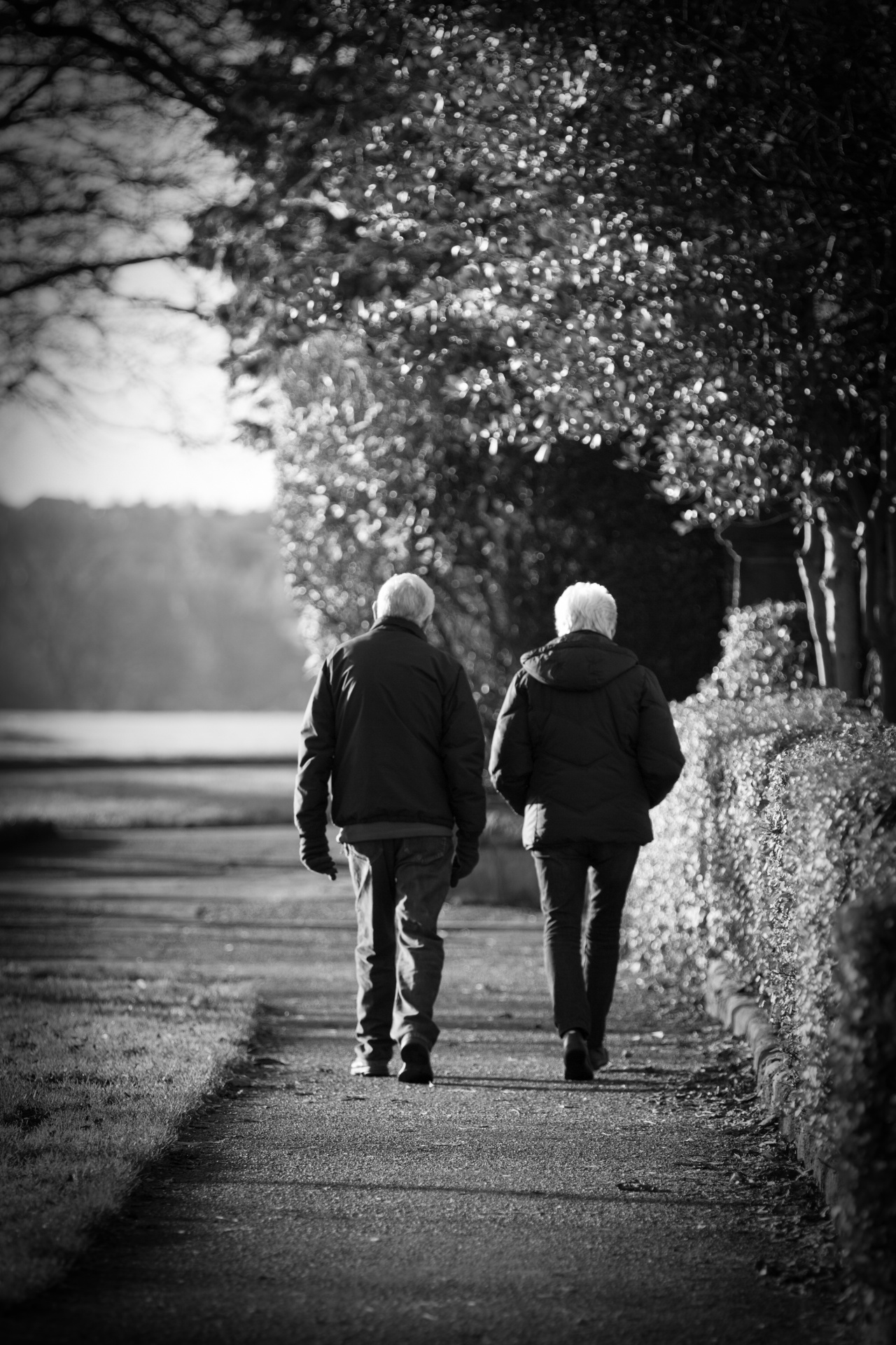 Old Couple On The Walk