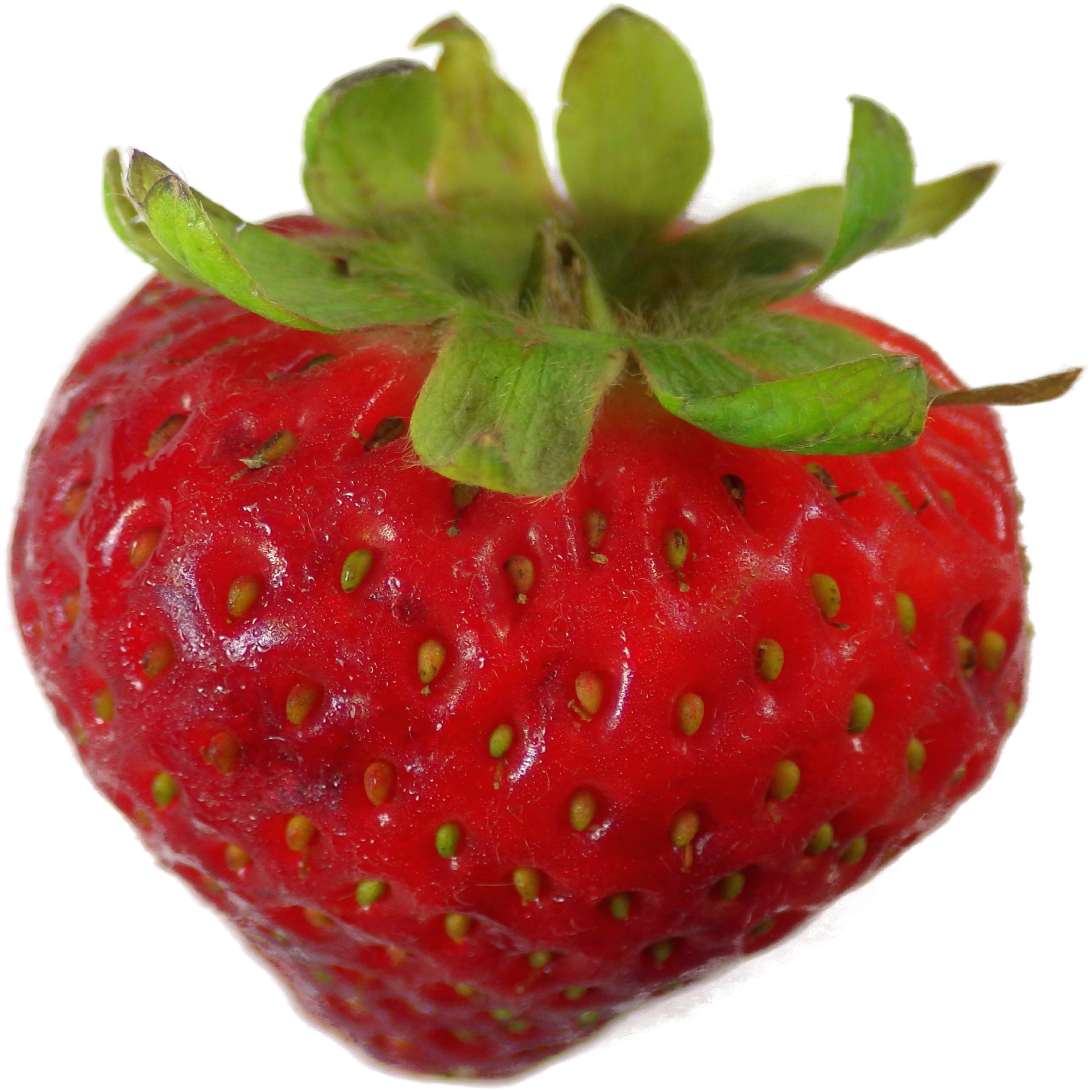 Red Strawberry 3