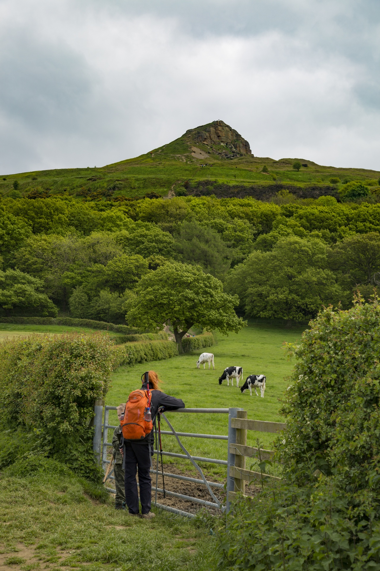 Roseberry Topping in North Yorkshire, summer landscape