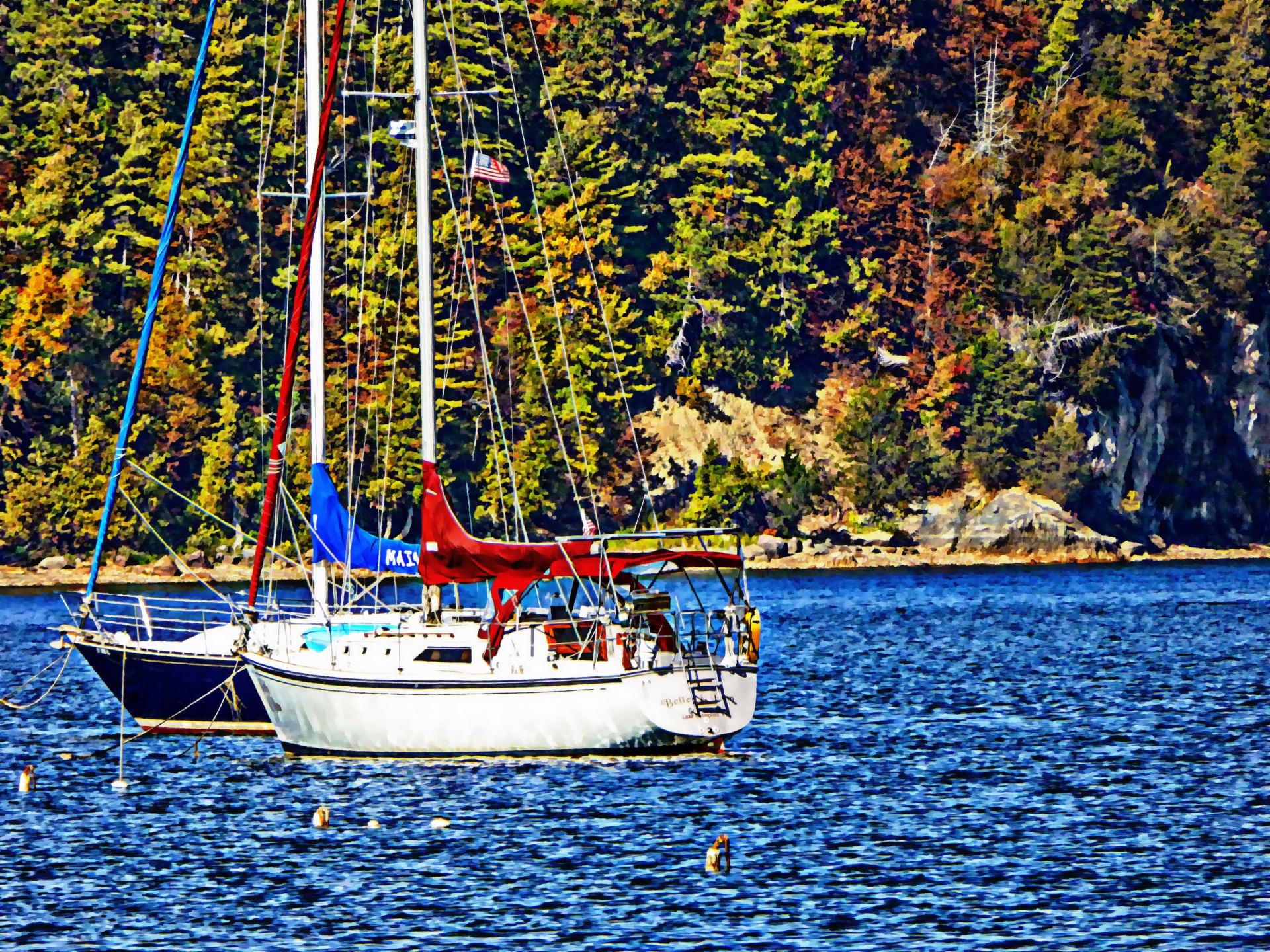 Sailboats On The Lake