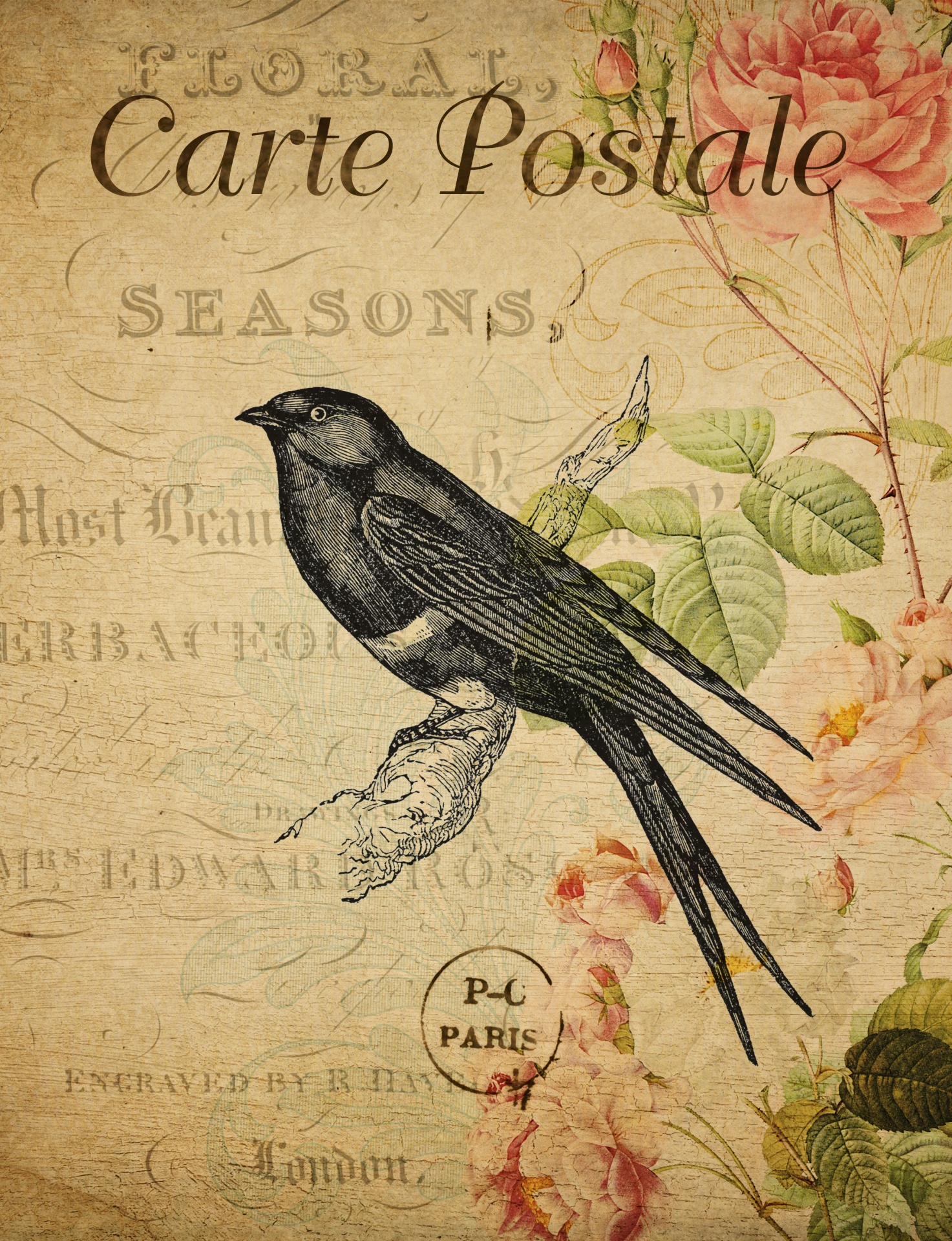 Vintage Postcard Bird Flowers