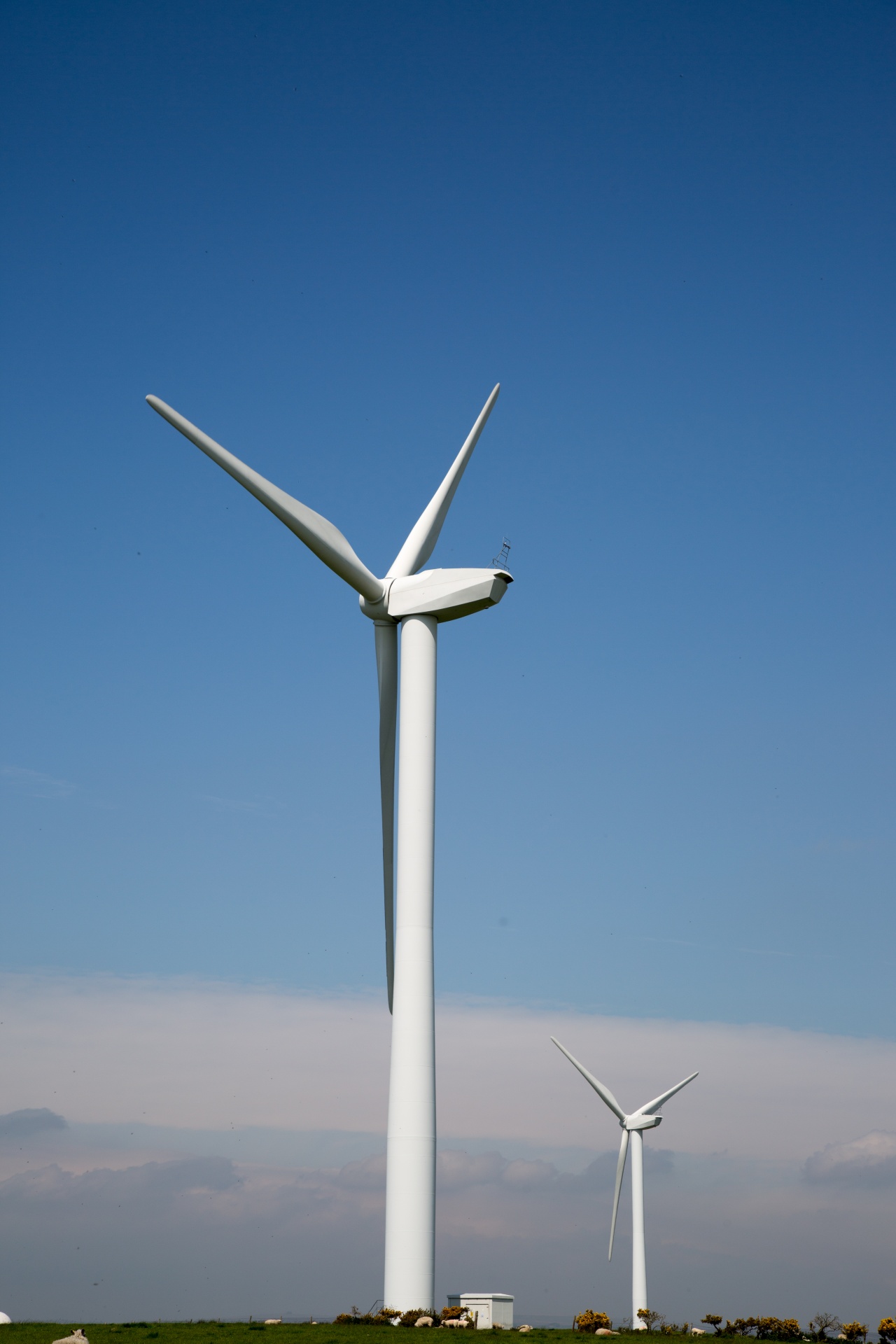 Wind Power Plant