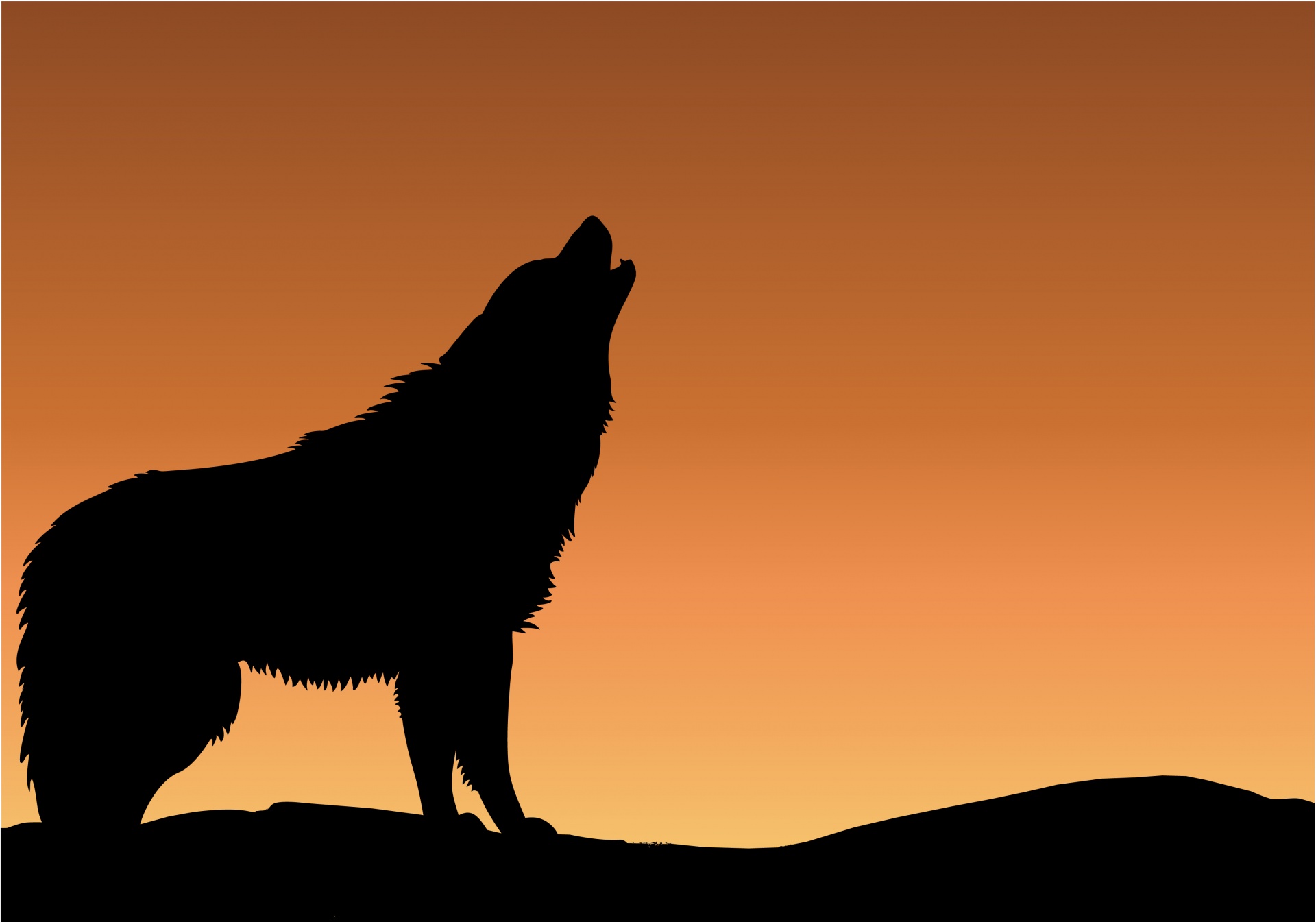 Howling wolf at sunset silhouette
