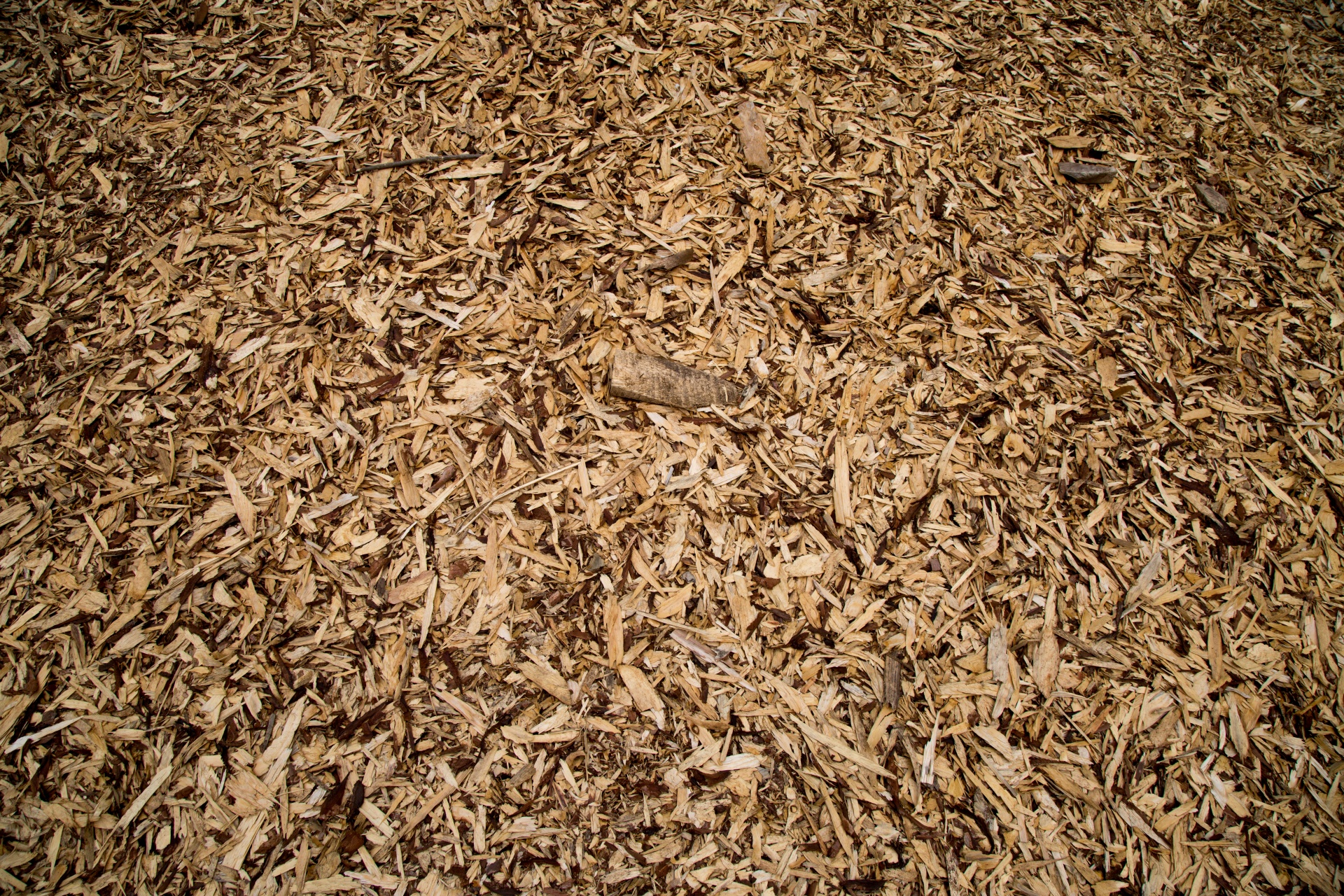 Wood Chip Background Texture
