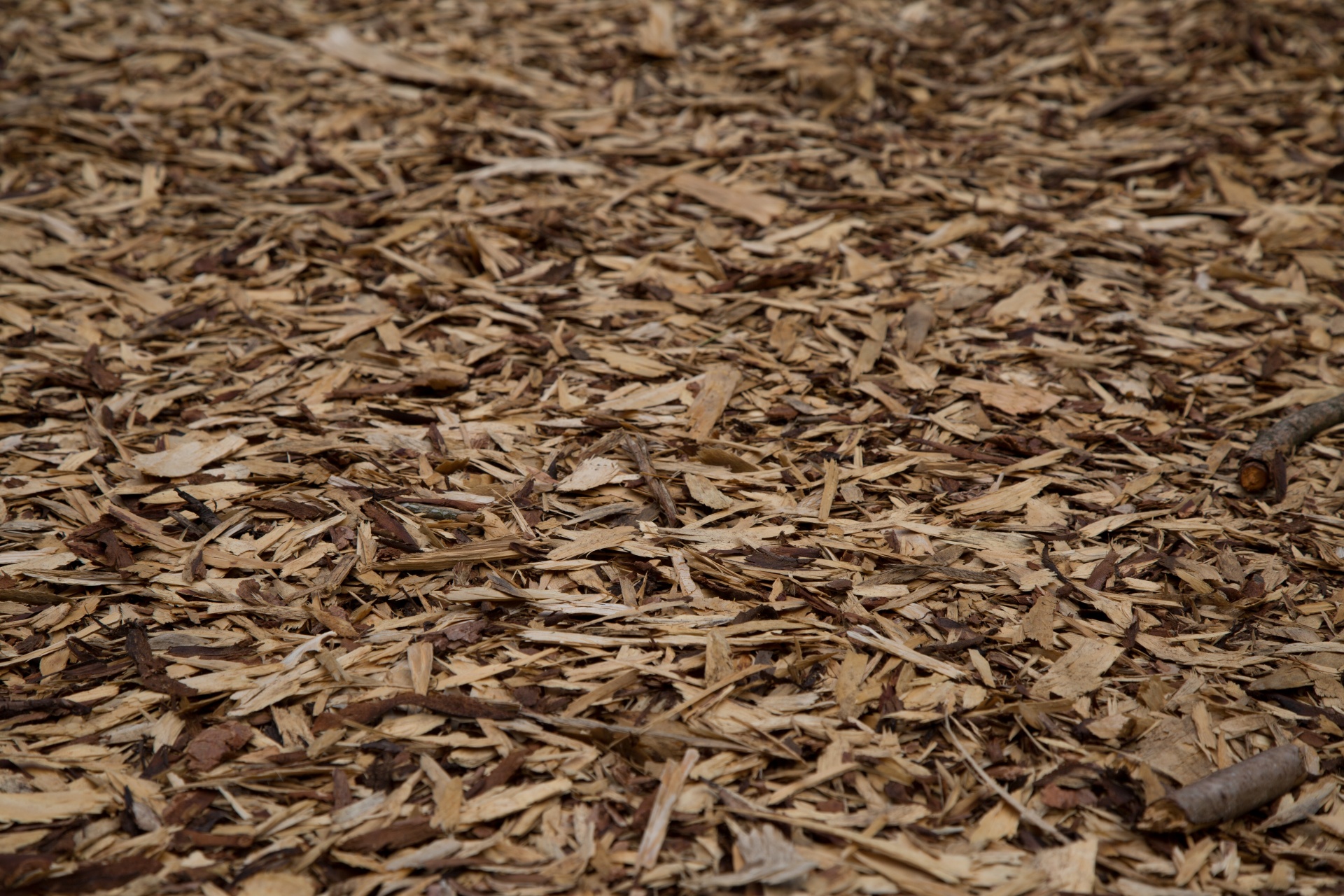 Wood Chip Background Texture