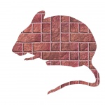 Brick Mouse