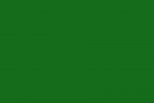 Bright Green Monocolor Background