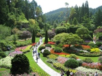 British Columbia's Butchart Gardens