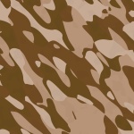 Camouflage # 1