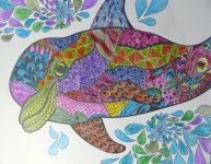 Colorful Dolphin