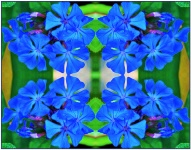 Deep Blue Flower Pattern